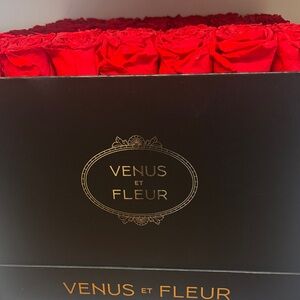 Venus Et Fleur Red Roses in Black Box
